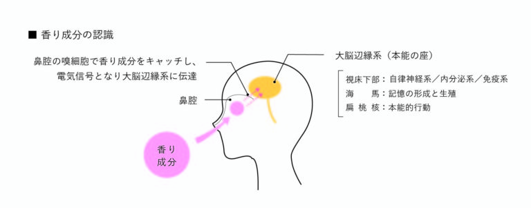 香りのはなし Part 1 株式会社コア 
